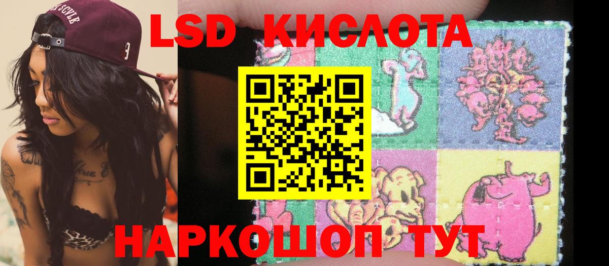 Камышин  Марки N-bome 1500мкг  Вход с VPN 
