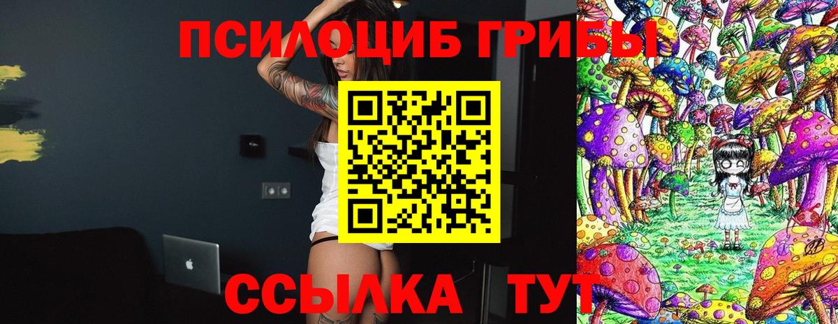Псилоцибиновые грибы прущие грибы  Вход с VPN  где найти   Камышин  Псилоцибиновые грибы MAGIC MUSHROOMS 
